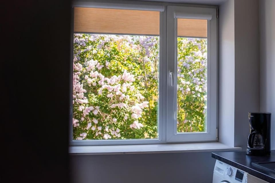 Cozy apartment in the city center of Kärdla Apartment in Estonia