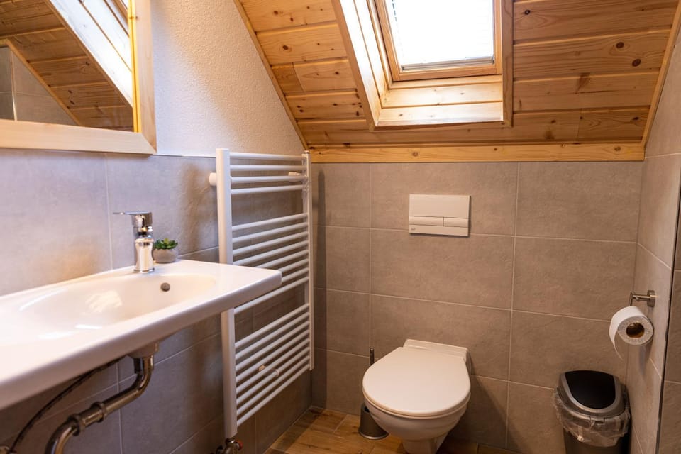 Shower, Toilet, Bathroom, towels