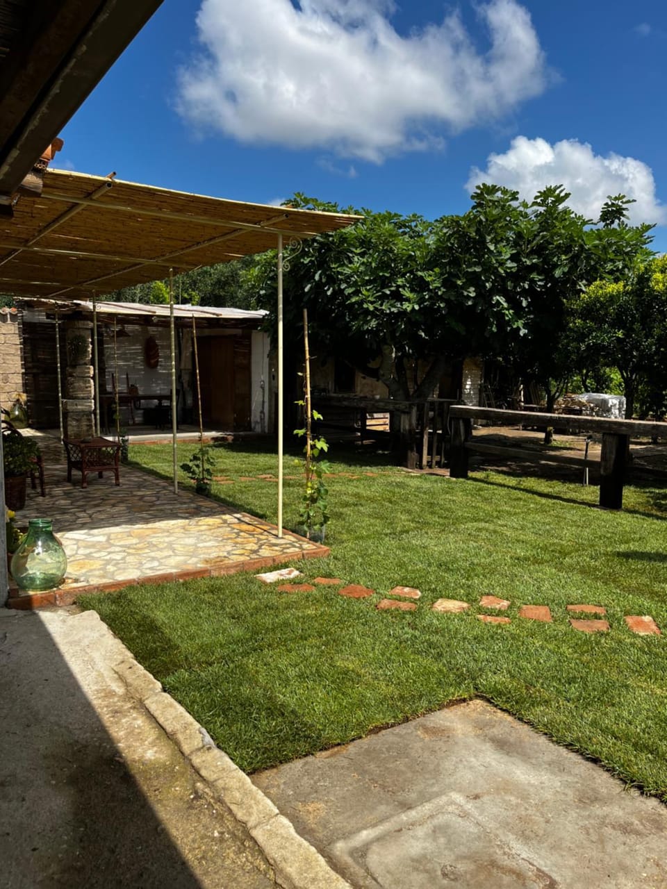 Garden view