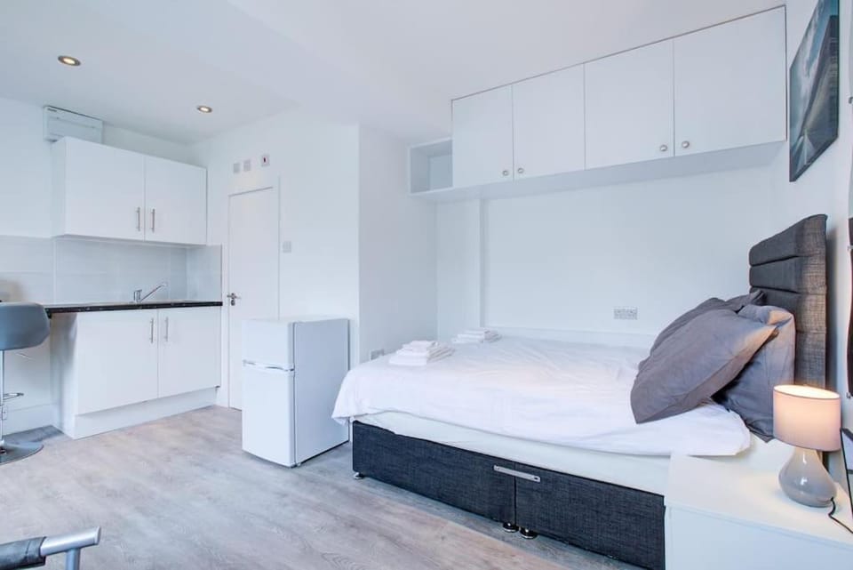 Comfy and Convenient Studio Suite Lewisham with Free street parking, WIFI and quick access to central London Sleep 3 Apartment in London Borough of Southwark