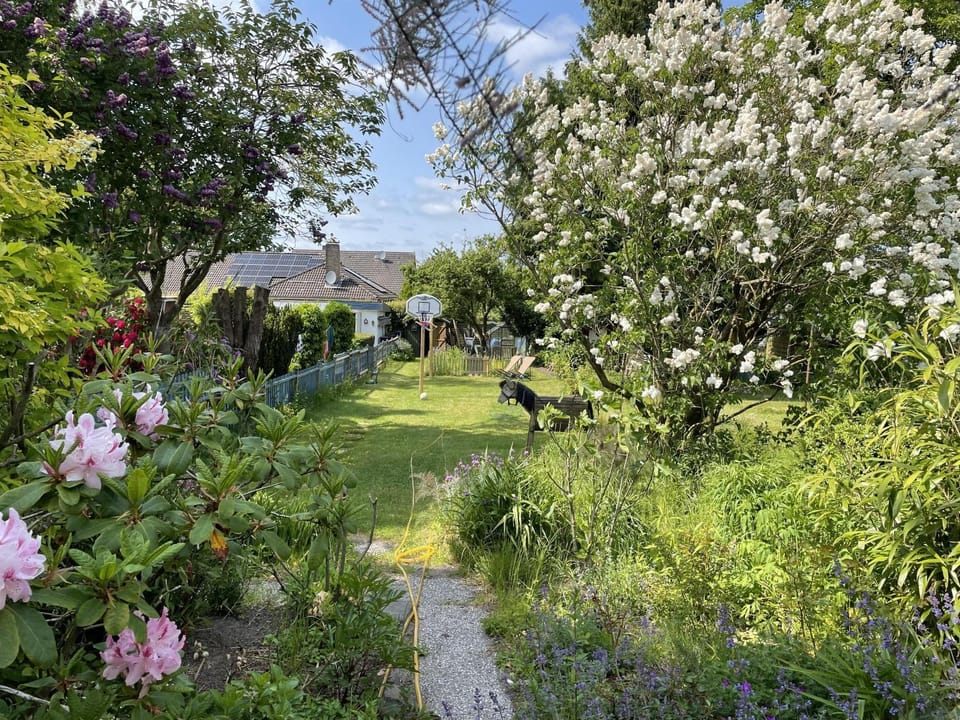 Ferienhaus Jenny House in Flensburg
