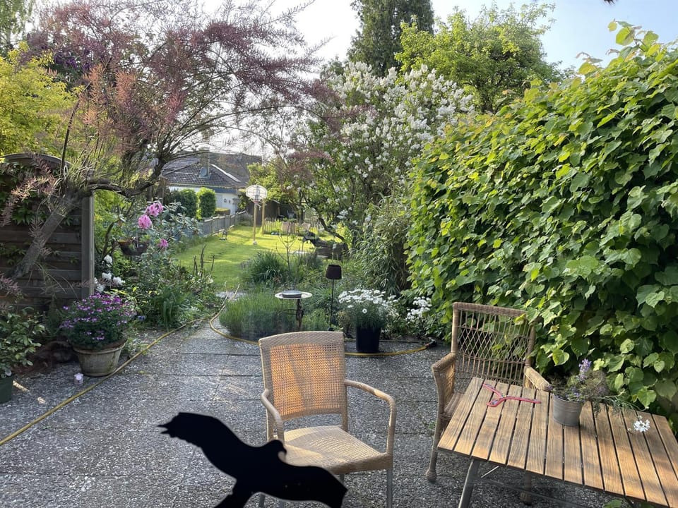 Ferienhaus Jenny House in Flensburg