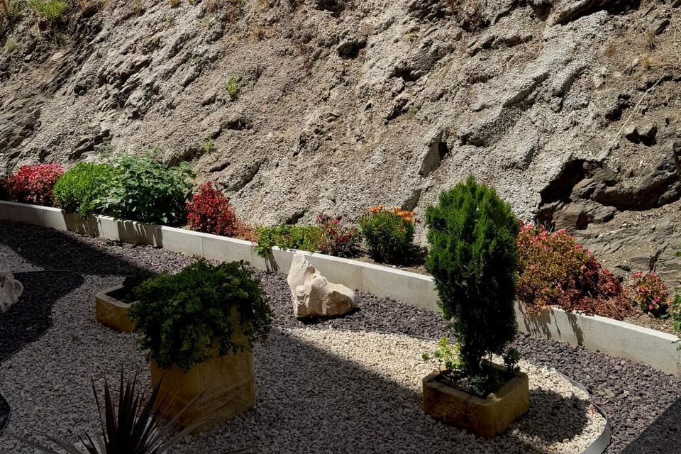 Day, Natural landscape, Garden
