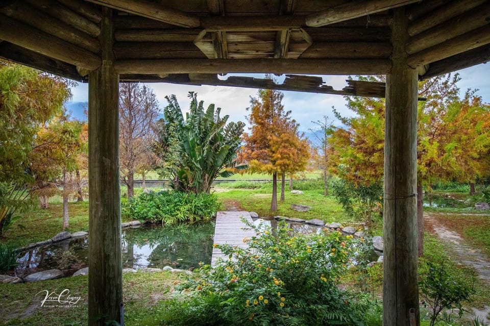 Natural landscape, Garden, Garden view