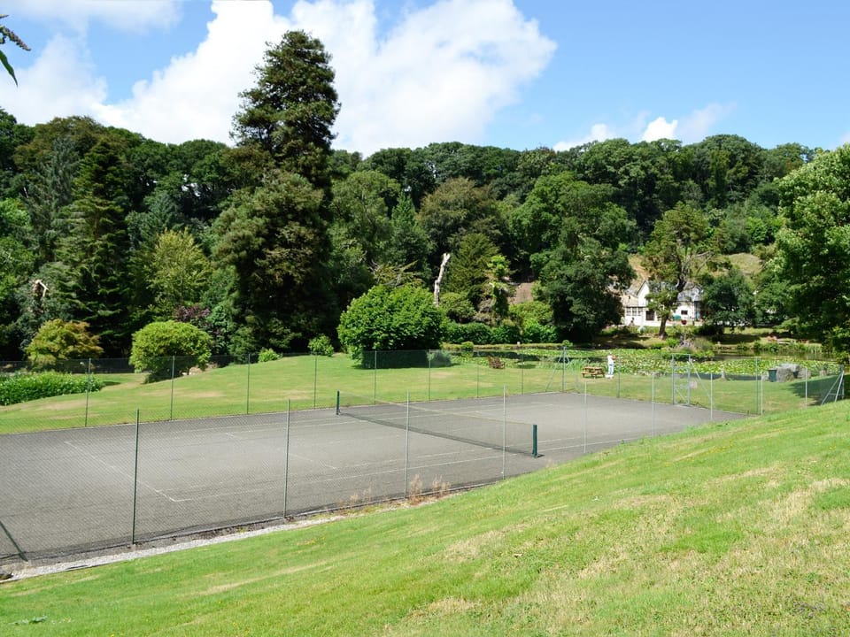 Tennis court