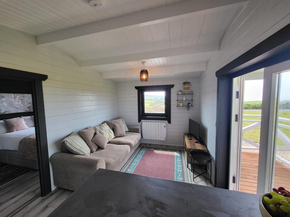 Blue Haven Lodge Apartment in County Clare