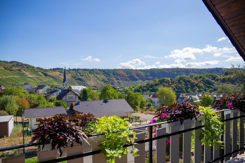 Nearby landmark, Spring, Day, Natural landscape, View (from property/room), Balcony/Terrace, Mountain view, River view