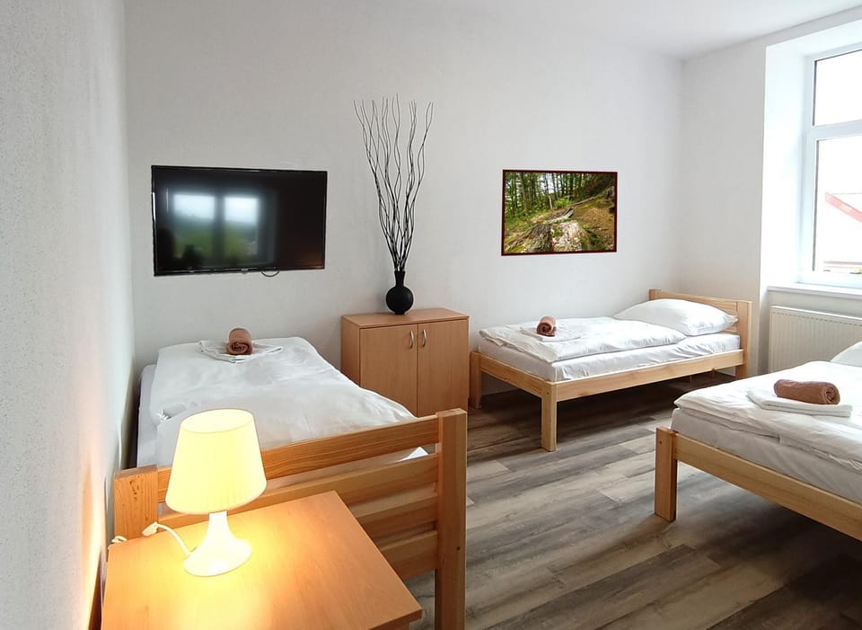Penzion U Provazníka Bed and Breakfast in South Bohemian Region