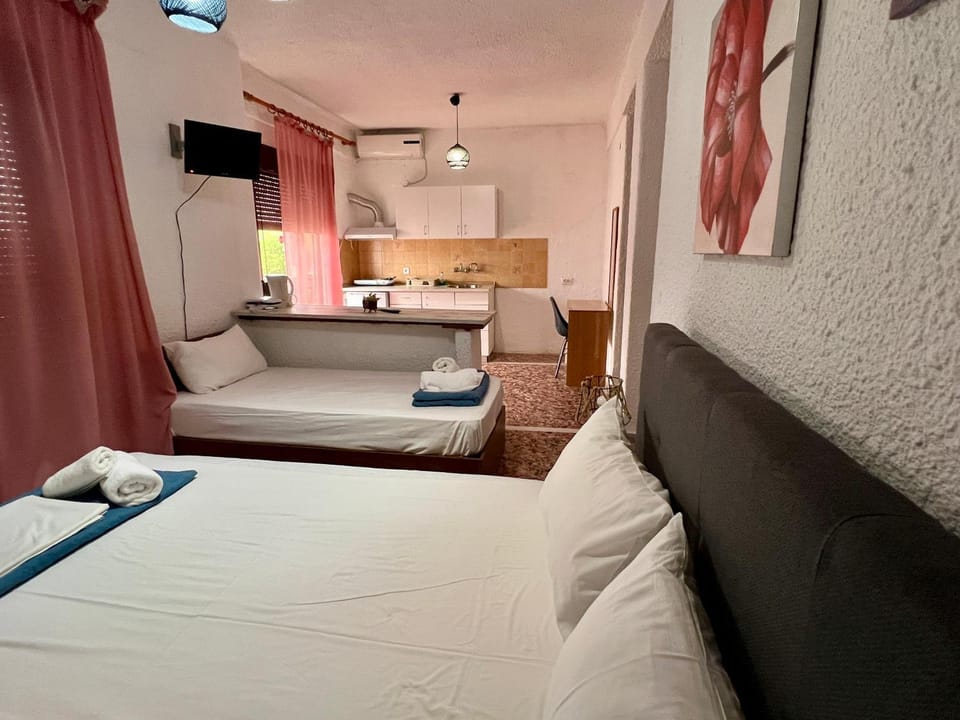 Bed, TV and multimedia, Kitchen or kitchenette, Photo of the whole room, Bedroom, towels