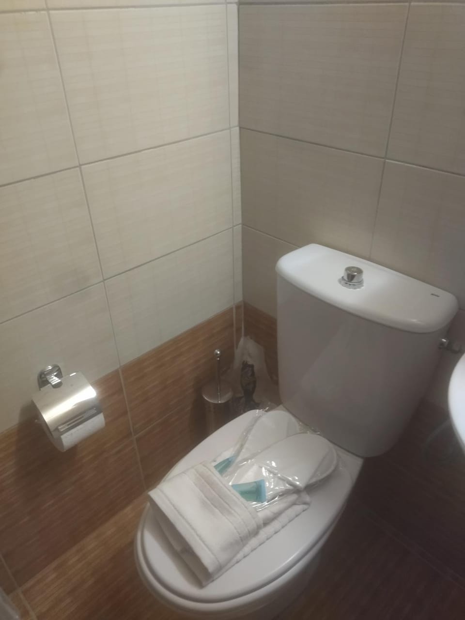 Toilet