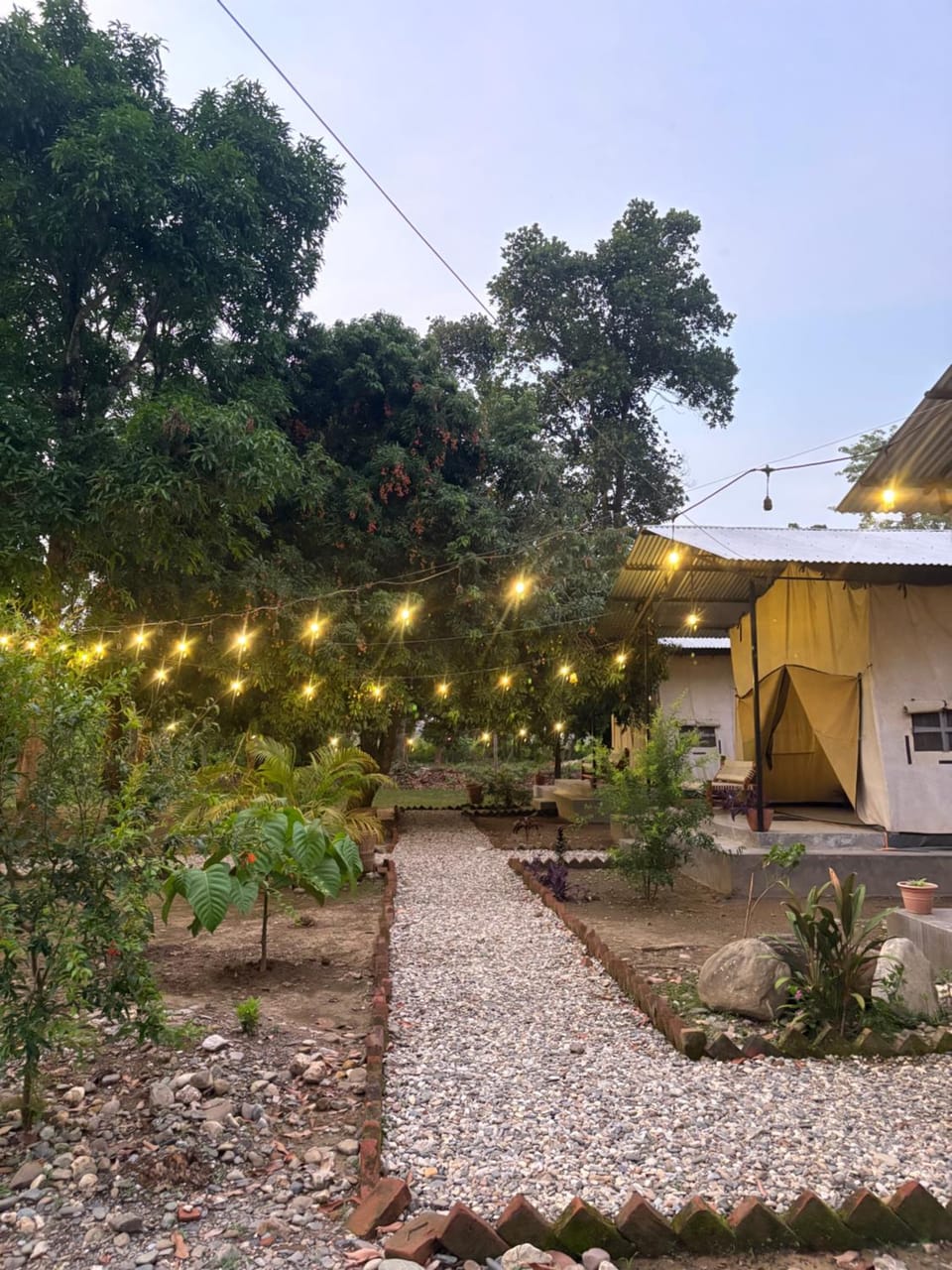 Property building, Spring, Day, Garden, Garden view
