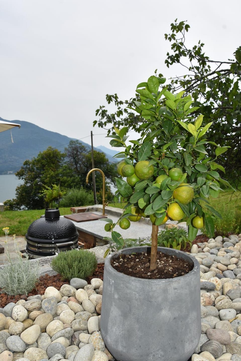 Natural landscape, Garden view