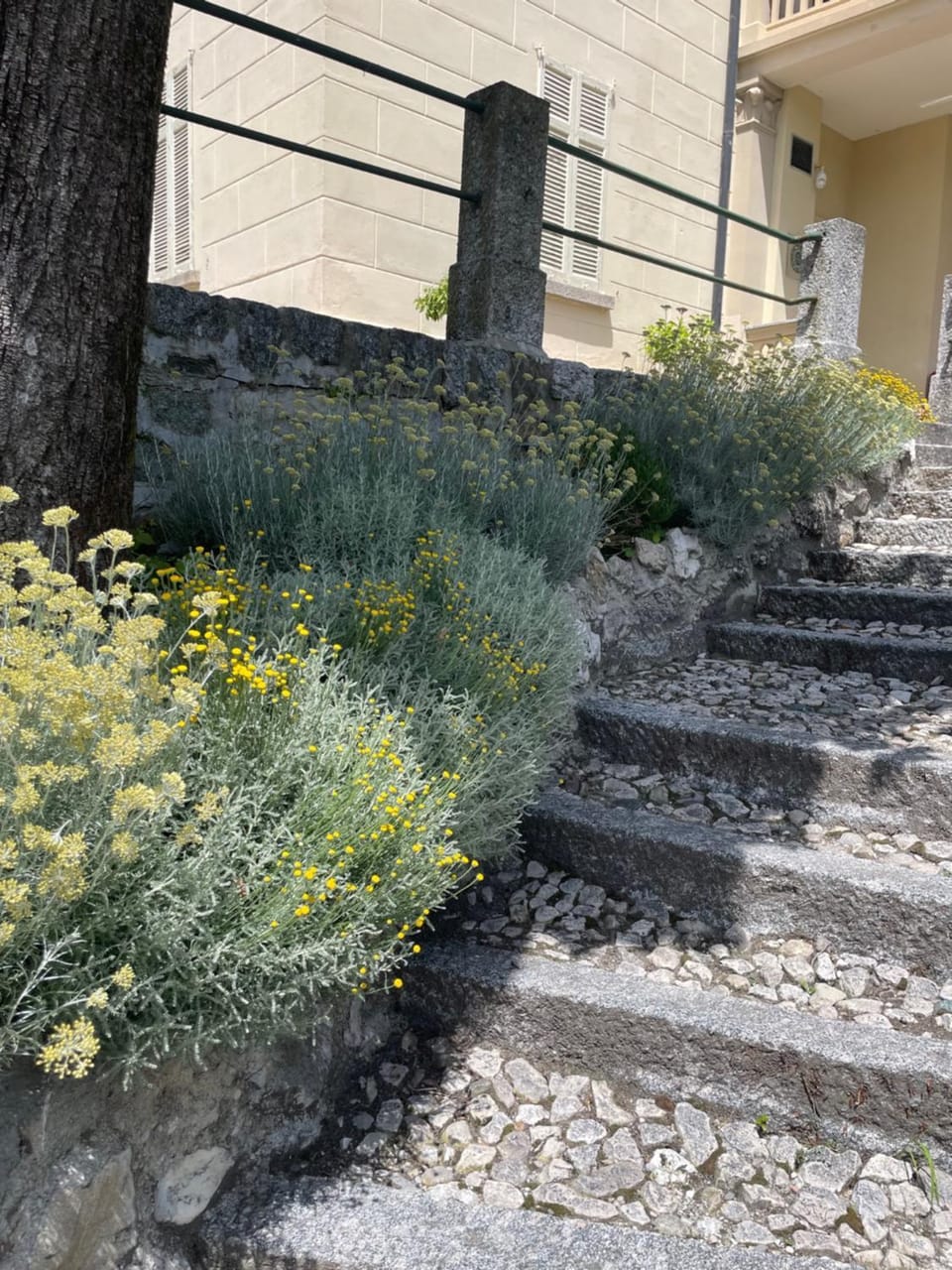 Private villa near Bellagio on Lake Como House in Bellagio