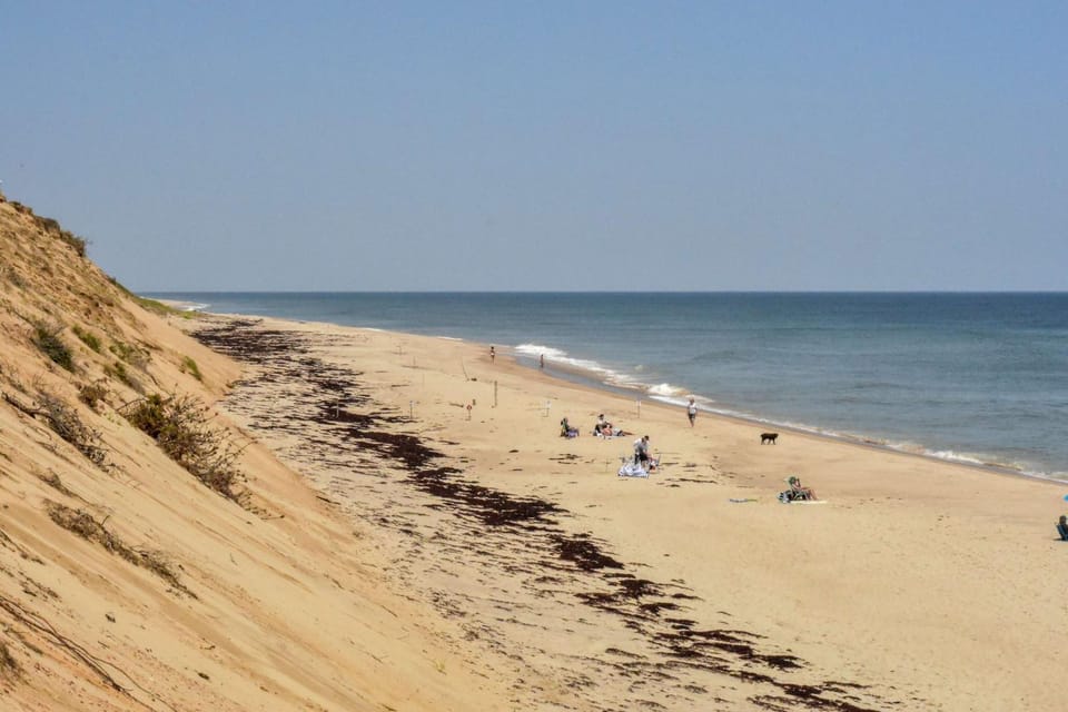 Classic Cape Great Location Dog Welcome House in Wellfleet