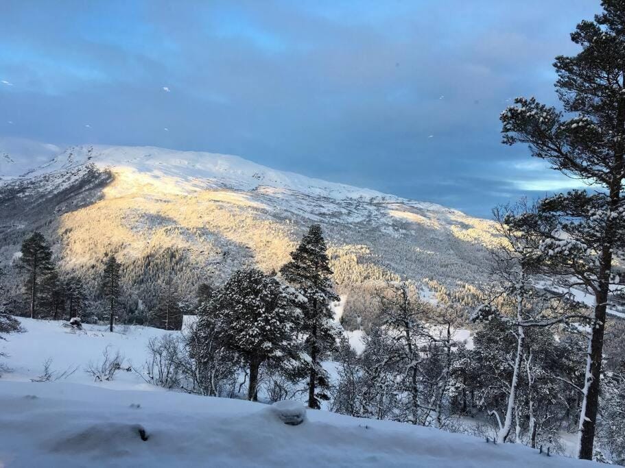 Bordalen-Voss Apartment in Vestland