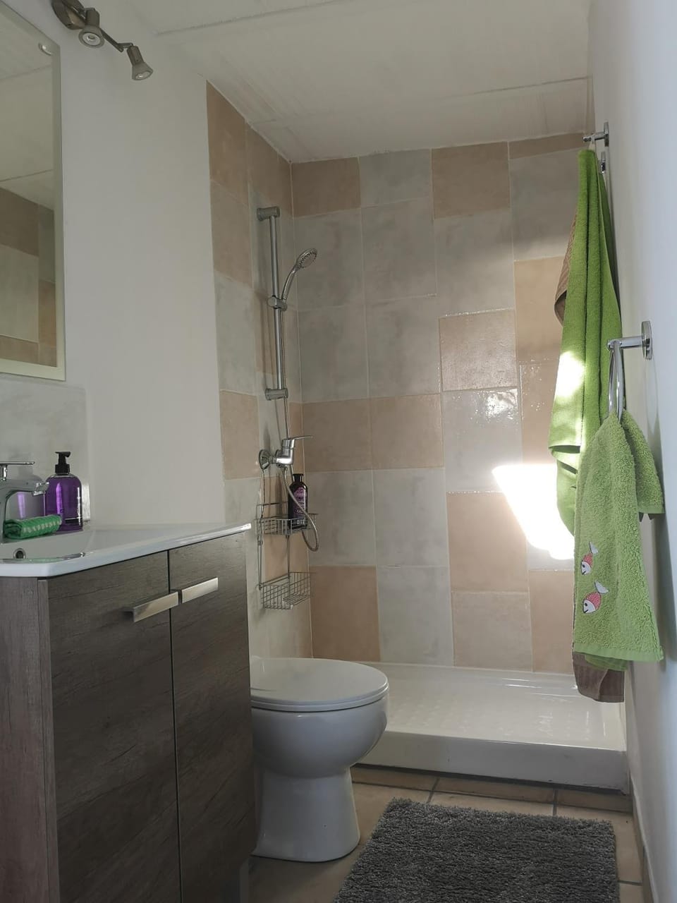 Bathroom, Living room