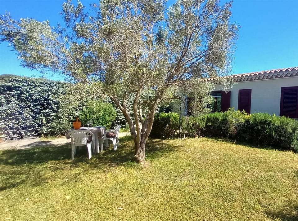 Property building, Spring, Day, Garden, Garden view