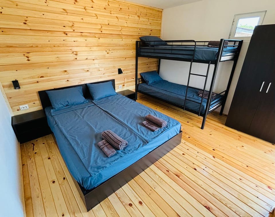 Bed, Photo of the whole room, Bedroom, bunk bed