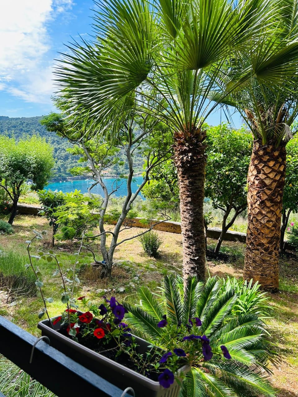 Garden, Garden view, Sea view