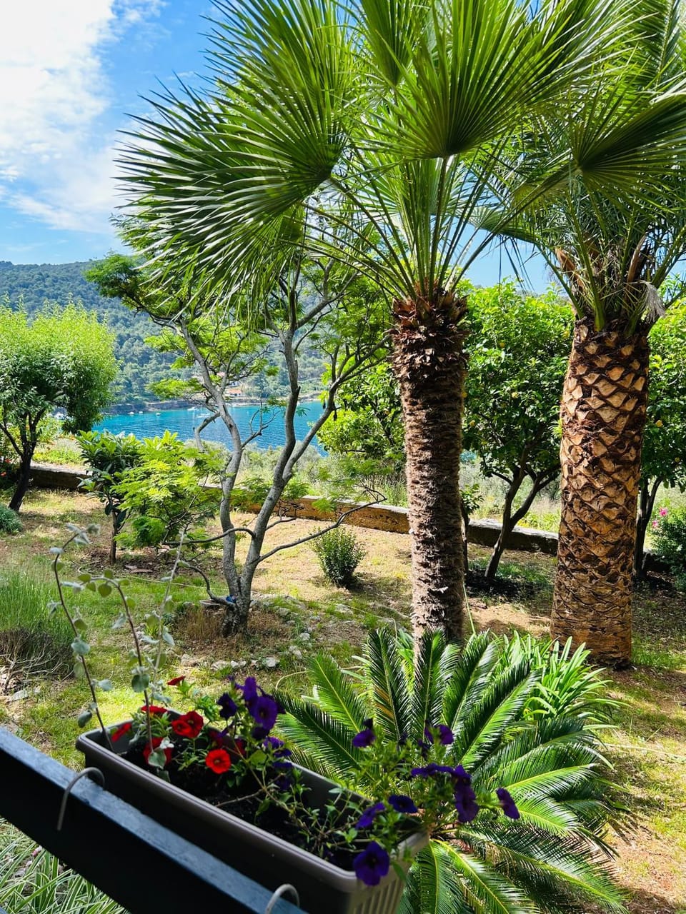 View (from property/room)