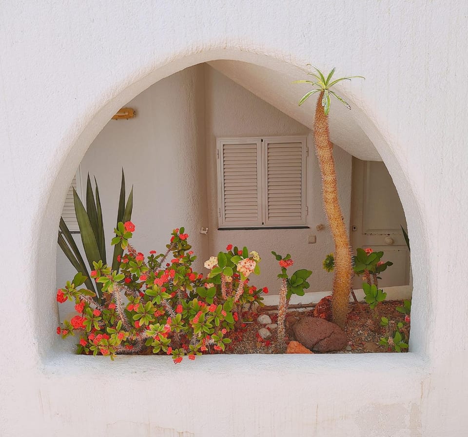 Garden, Garden view
