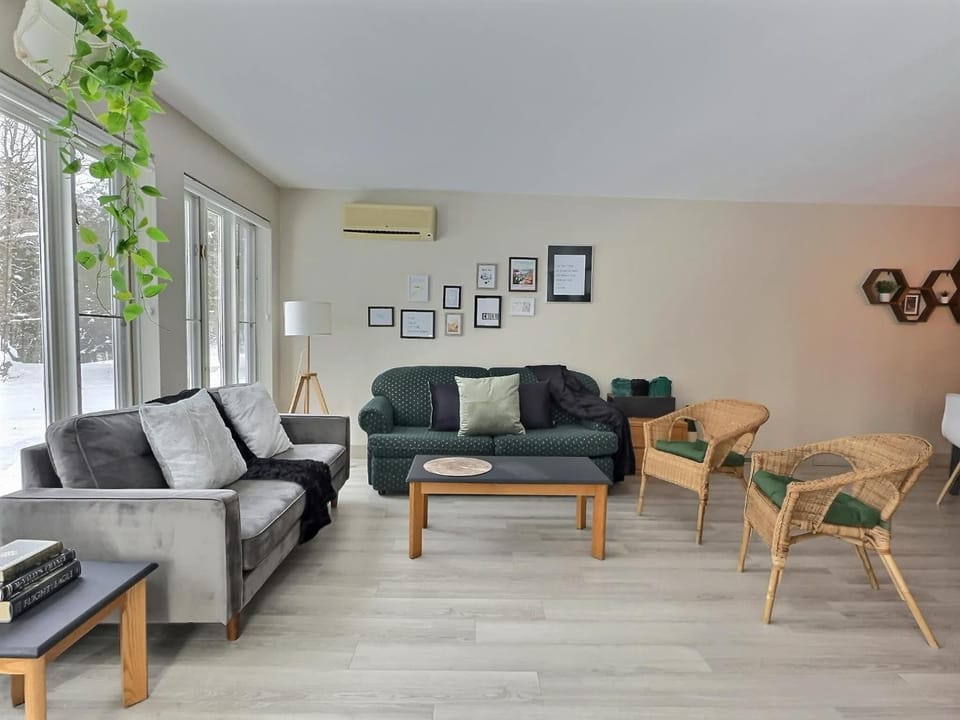 Living room, air conditioner