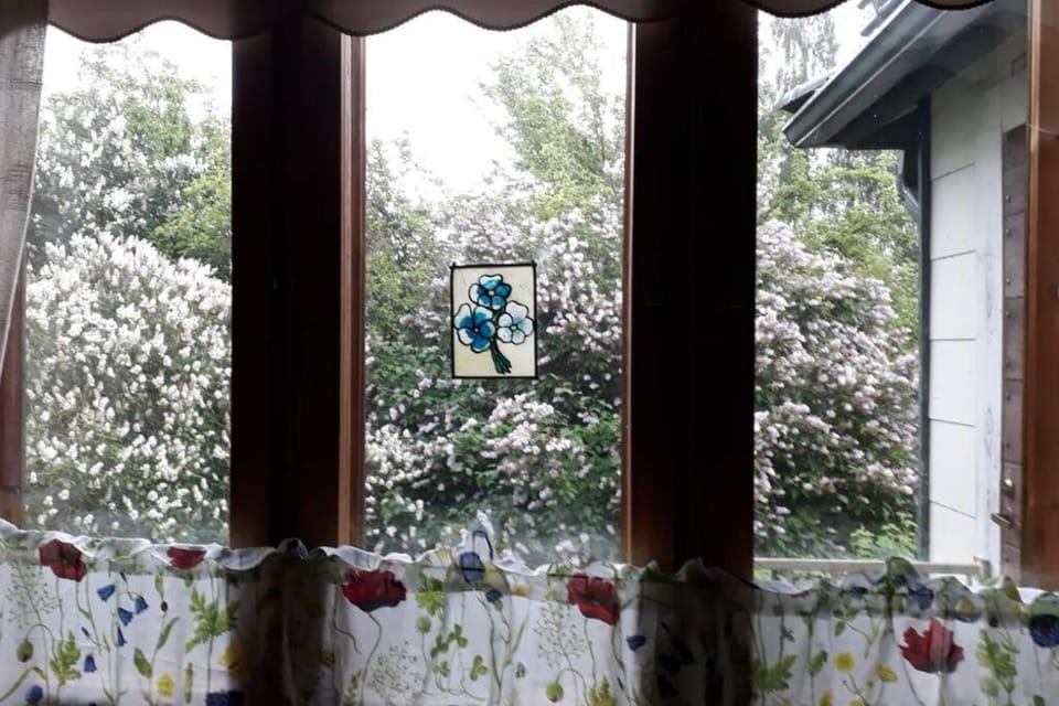 Garden view, kitchen