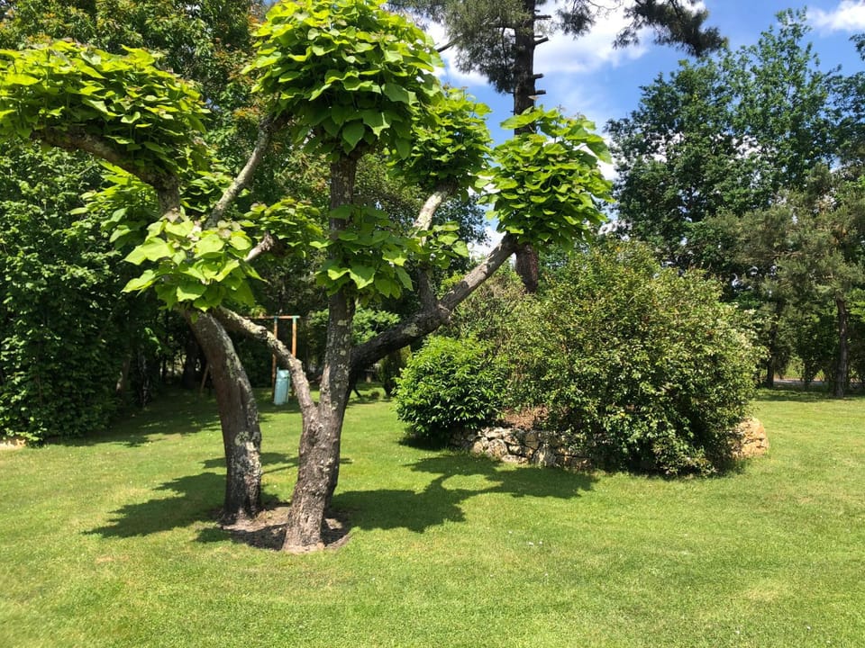 Villa au milieu des pins climatisée Villa in Lacanau