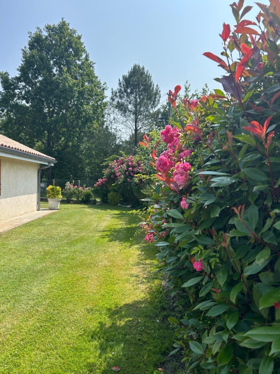 Villa au milieu des pins climatisée Villa in Lacanau