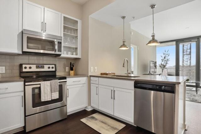 Piedmont Park 2 bdrm Apartment in Atlanta
