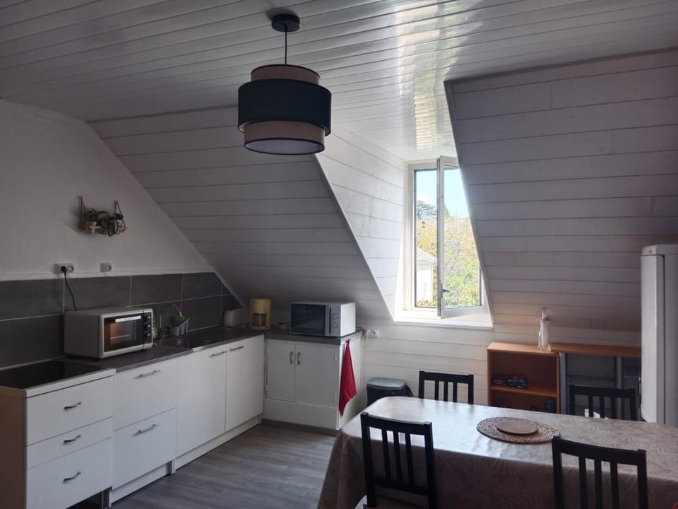 Kitchen or kitchenette, Dining area, oven, stove, toaster