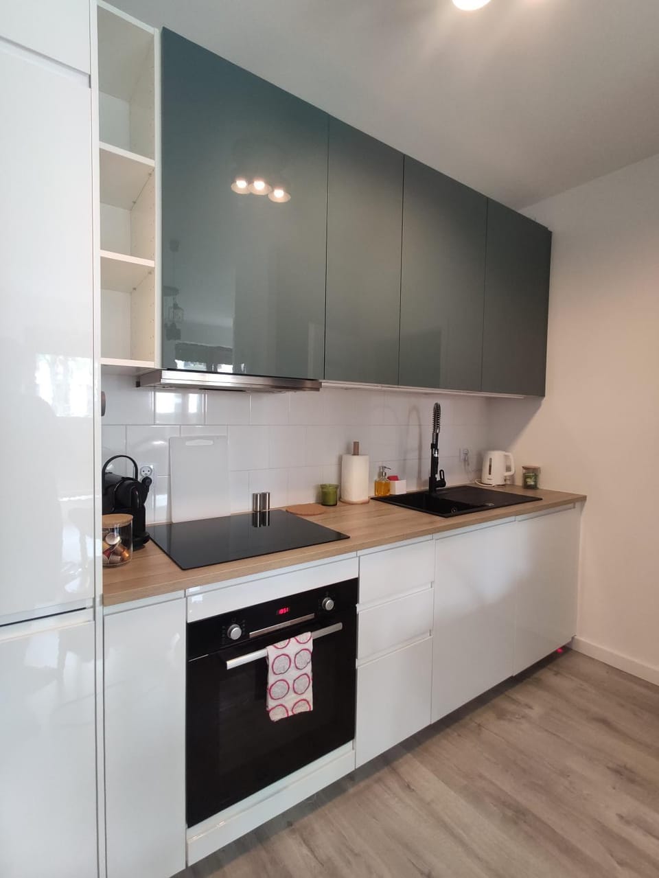 Kitchen or kitchenette, dishwasher, minibar, pet friendly, stove