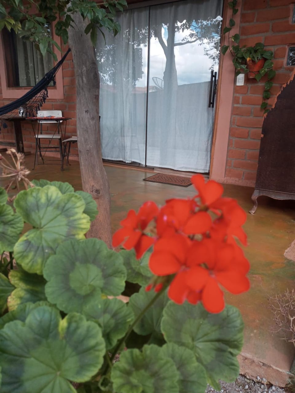 Garden, Garden view