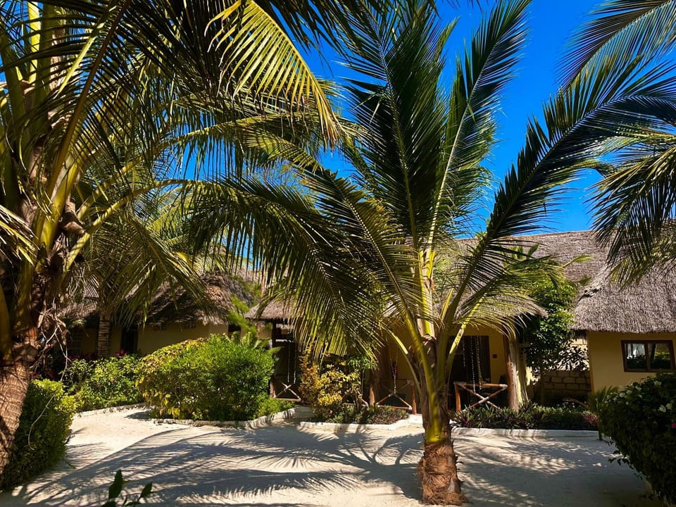 Moayana Liora Zanzibar Bed and Breakfast in Tanzania