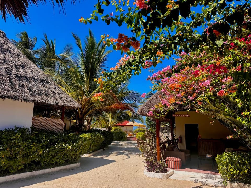 Moayana Liora Zanzibar Bed and Breakfast in Tanzania