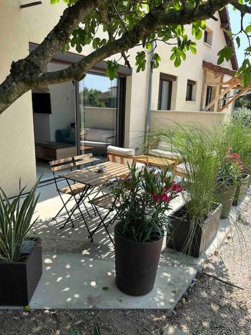 Patio, Garden view