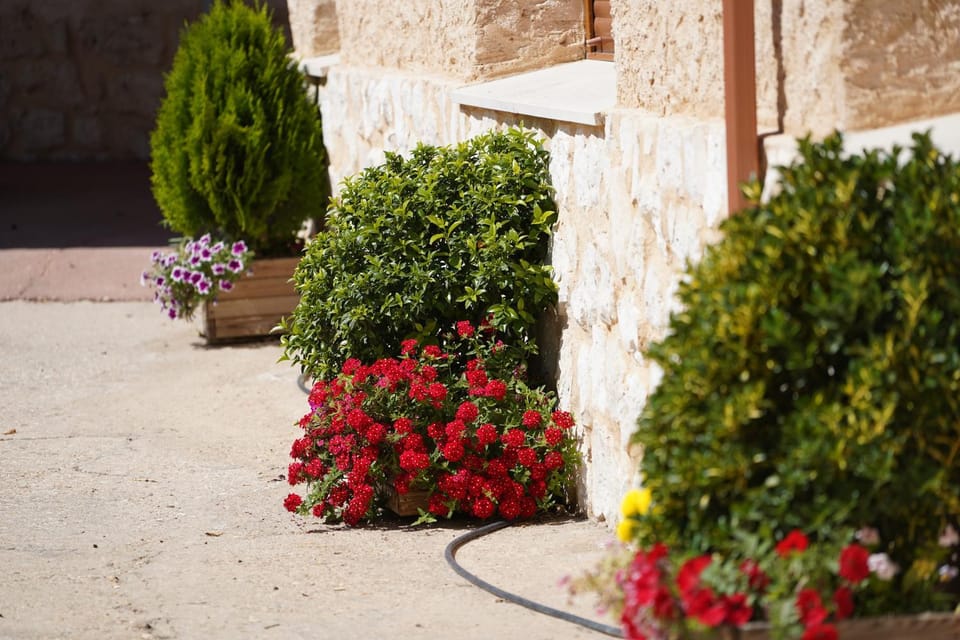 Las diez ovejas alojamiento rural House in Castile and León