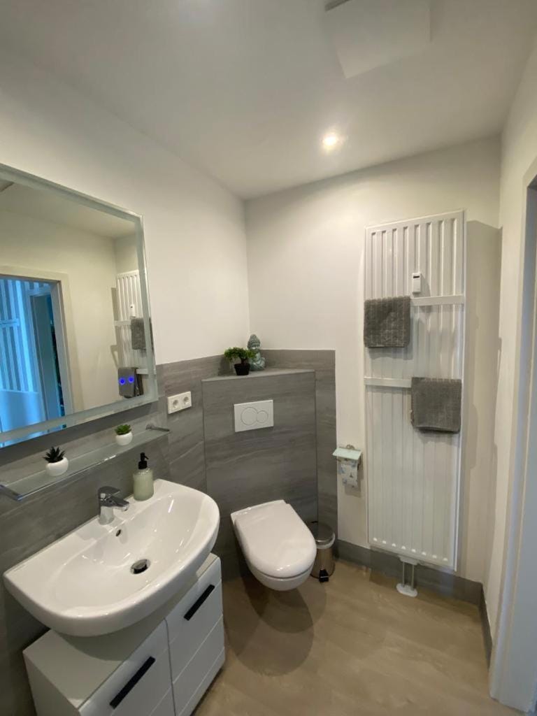 Toilet, Bathroom, towels