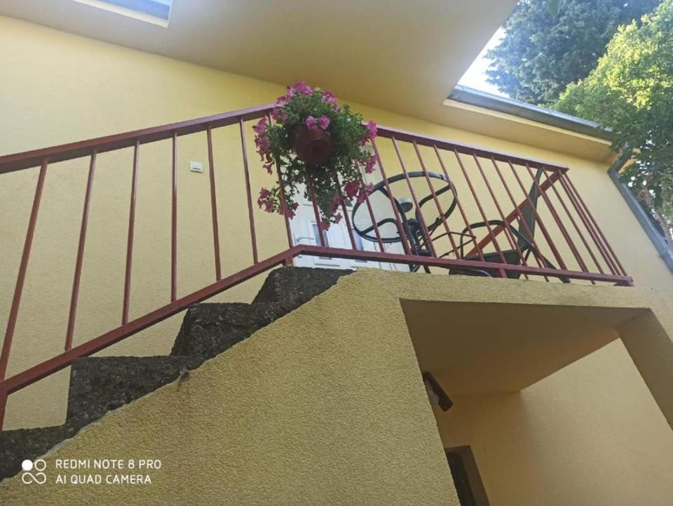 Villa Zorka Apartment in Montenegro