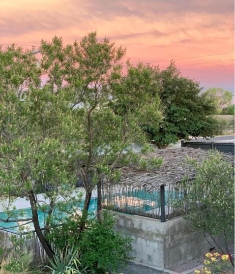 Spring, Day, Natural landscape, Garden, Garden view, Pool view, Swimming pool, Swimming pool