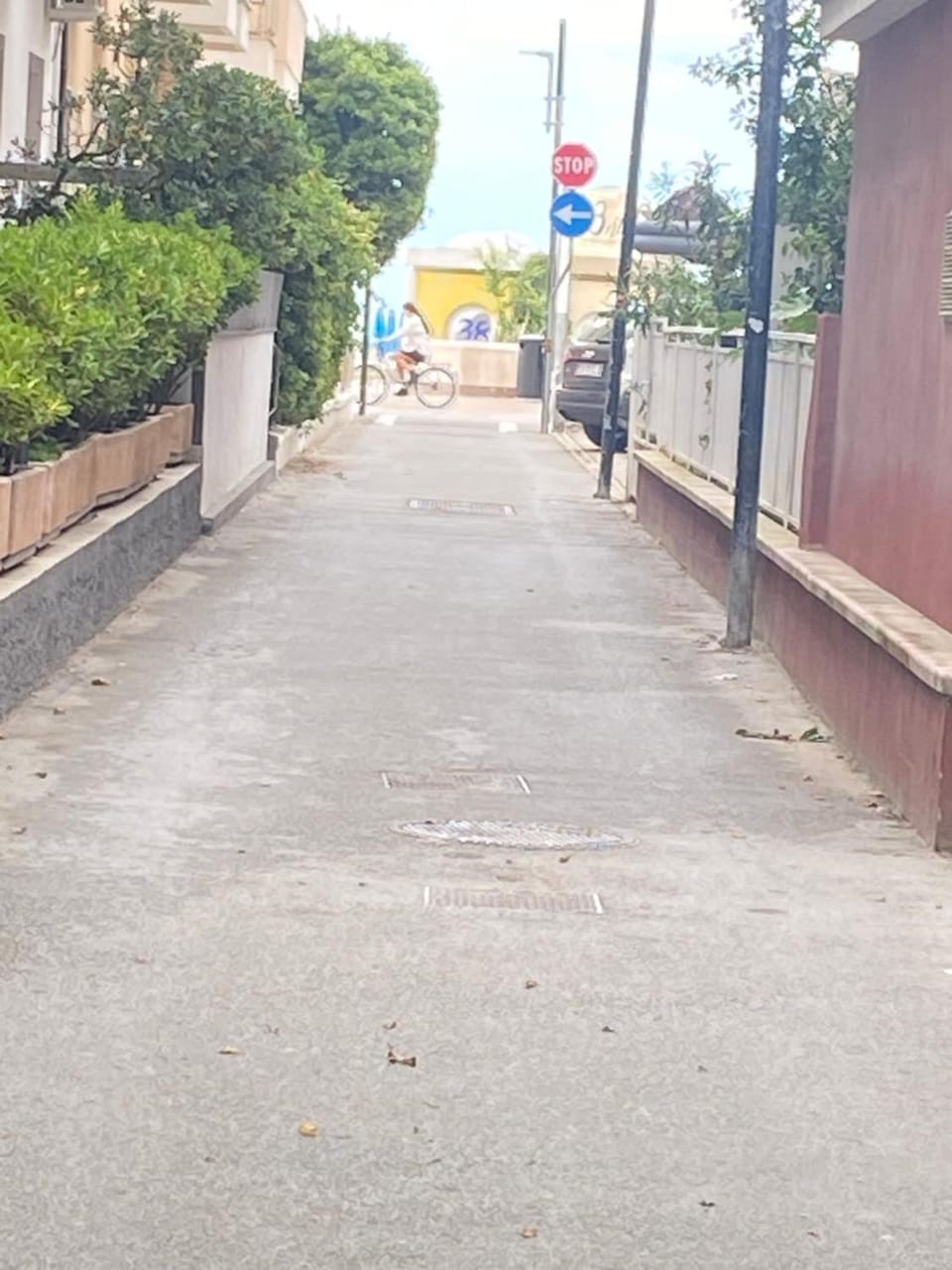 Day, Neighbourhood, Street view