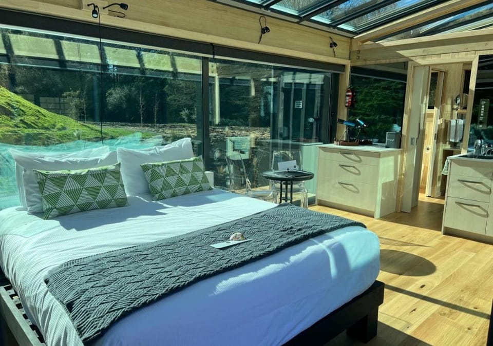 Bed, Living room, Photo of the whole room