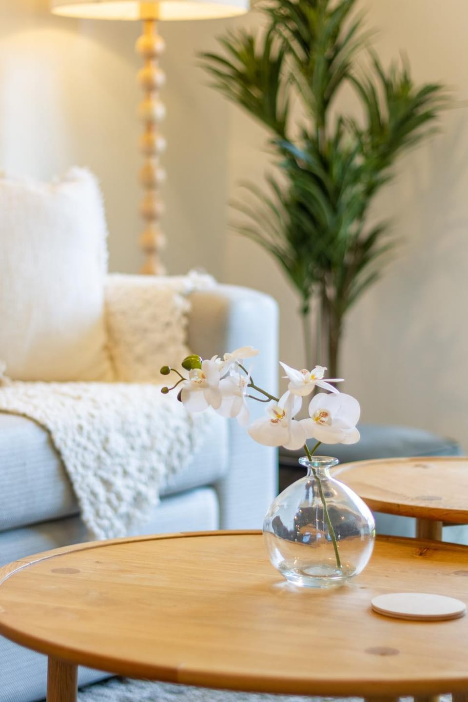 Living room, Decorative detail, Seating area