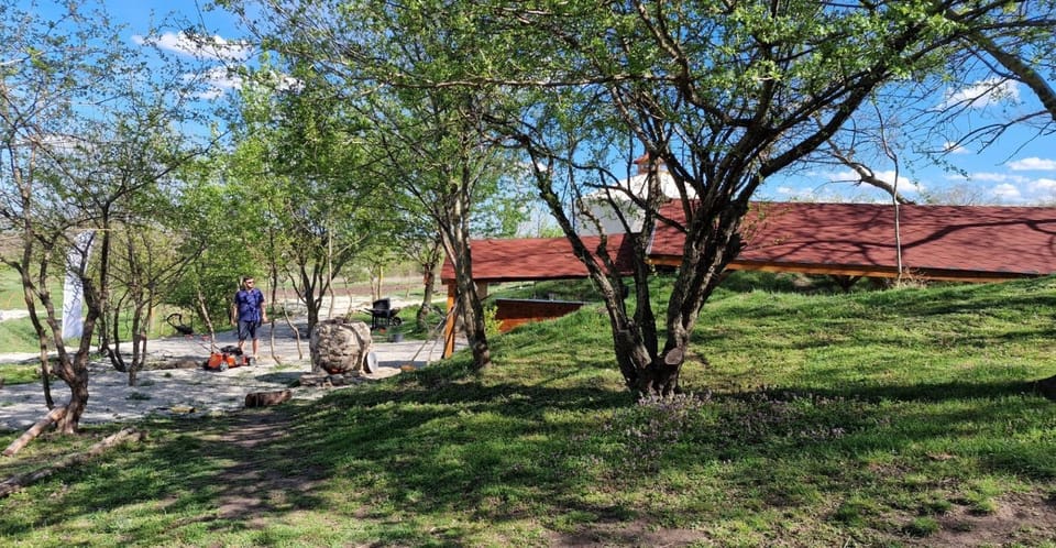 Spring, Day, Natural landscape, Garden, Garden view