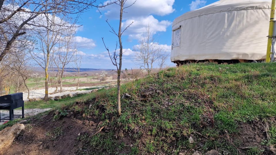 Spring, Day, Natural landscape, Garden, Garden view
