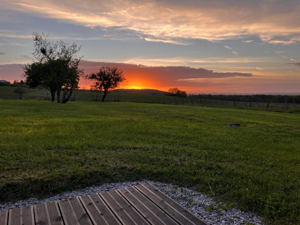 Natural landscape, Garden, View (from property/room), Garden view, Sunset