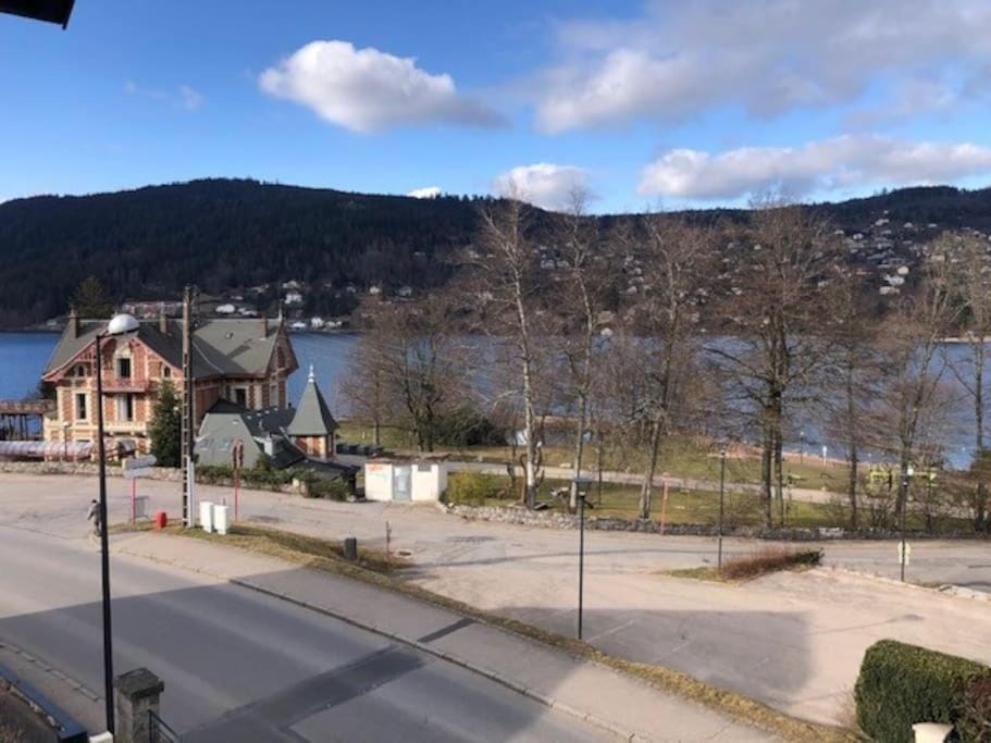 L'Aubépine au bord du lac vue directe sur le lac ,Borne E à 20m Apartment in Gérardmer