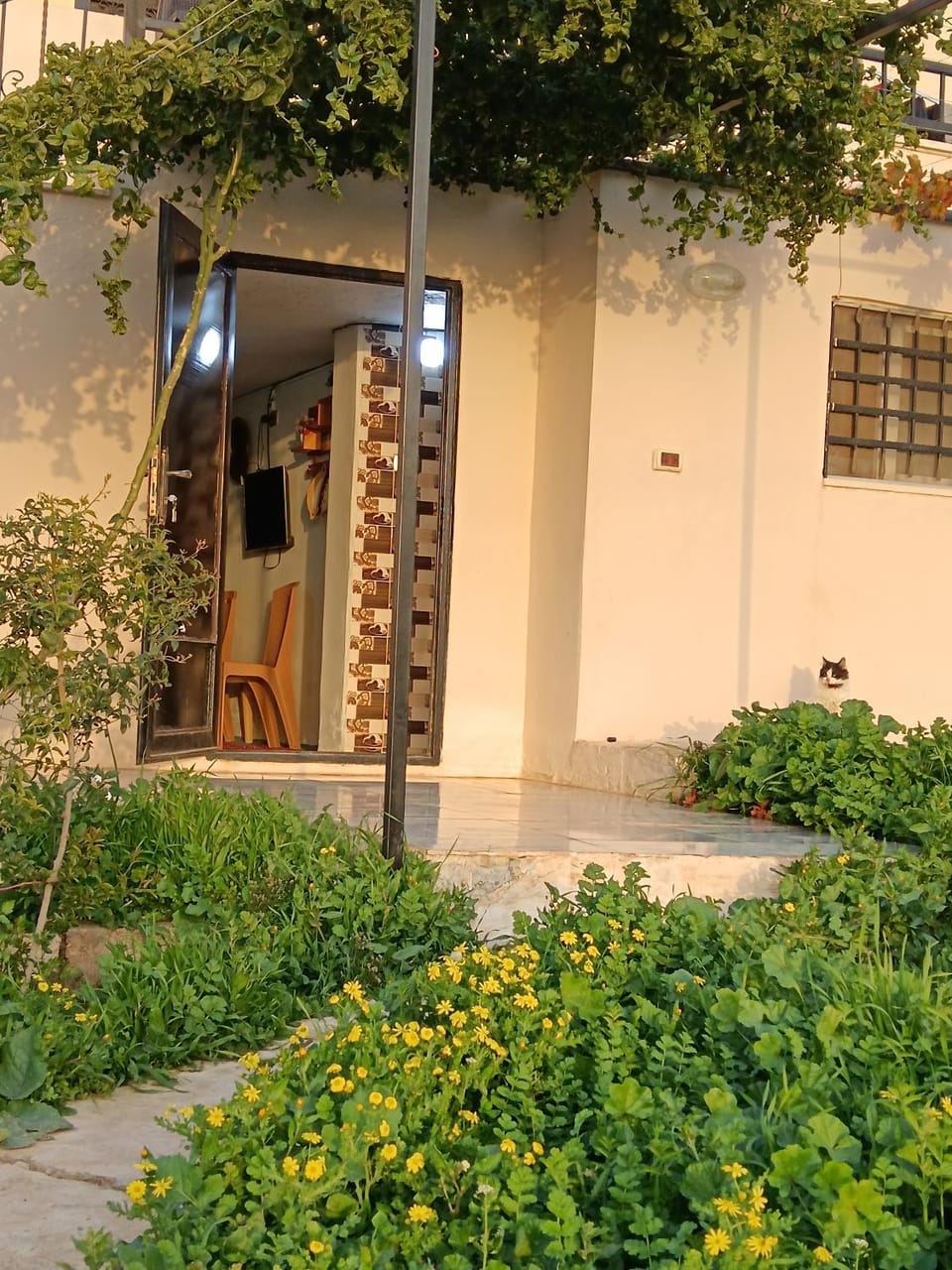 Property building, Facade/entrance, Spring, Day, Garden, Garden view