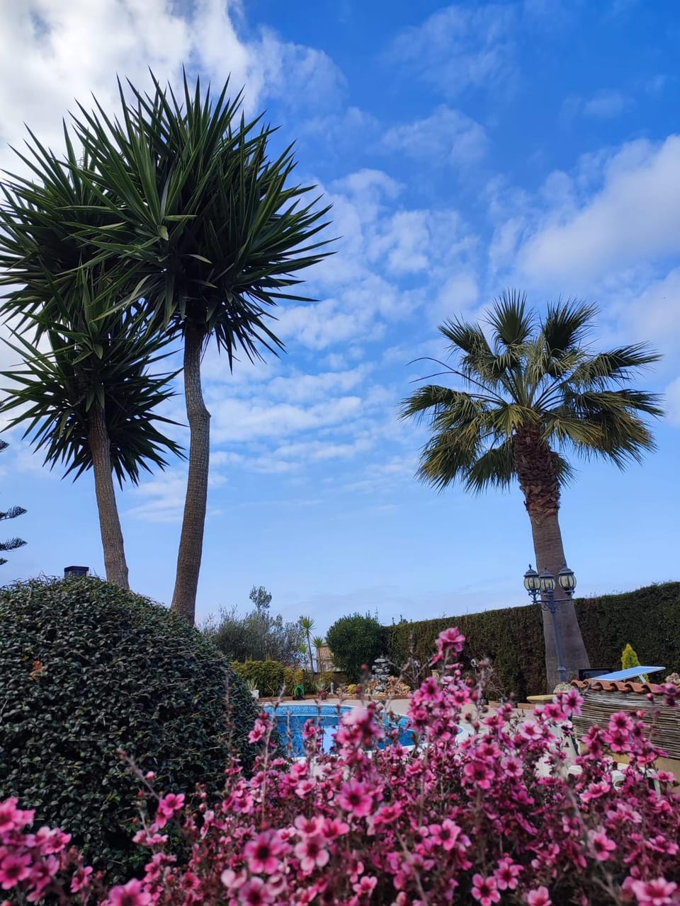 Spring, Day, Natural landscape, Garden, Garden view