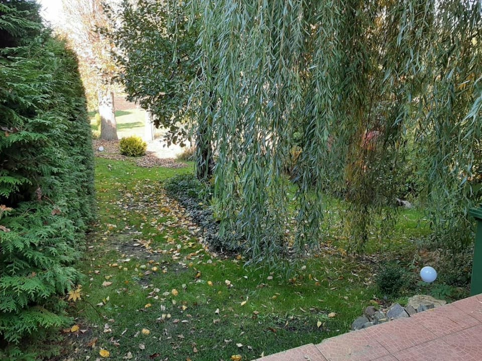 Day, Garden view